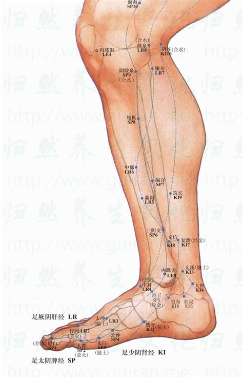 離溝穴|醫砭 » 中華針灸 » 蠡溝